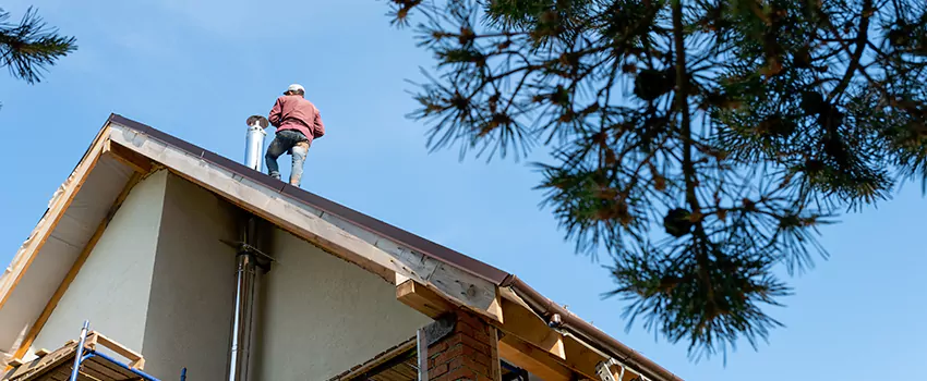 Birds Removal Contractors from Chimney in Evans, CO