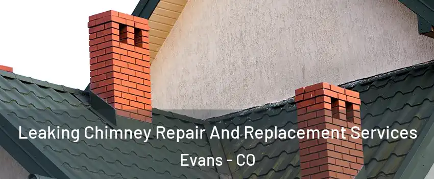  Leaking Chimney Repair And Replacement Services Evans - CO