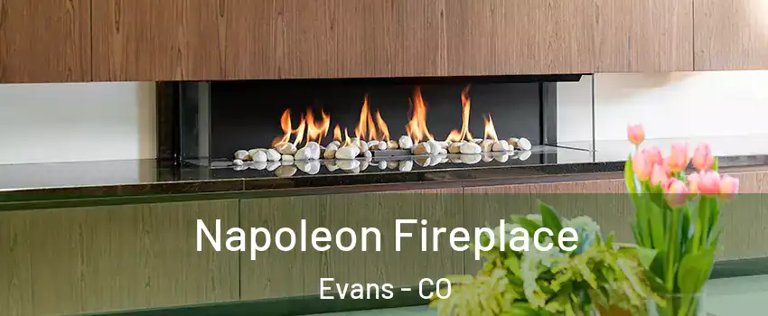  Napoleon Fireplace Evans - CO