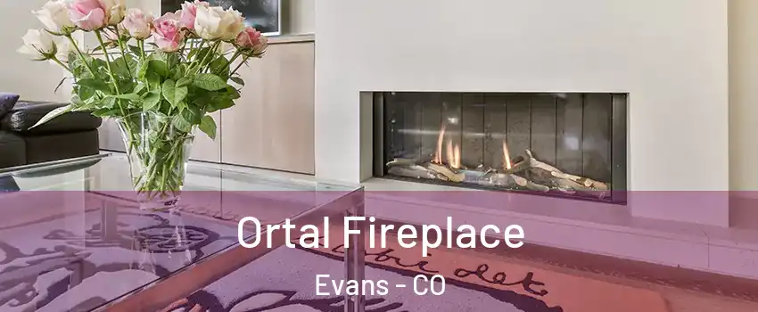  Ortal Fireplace Evans - CO