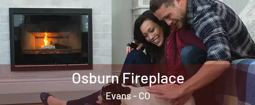  Osburn Fireplace Evans - CO