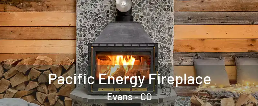  Pacific Energy Fireplace Evans - CO