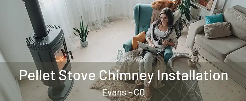  Pellet Stove Chimney Installation Evans - CO