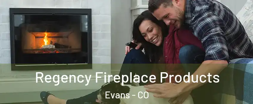  Regency Fireplace Products Evans - CO