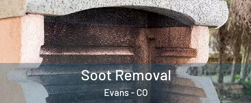  Soot Removal Evans - CO