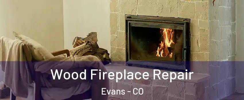  Wood Fireplace Repair Evans - CO