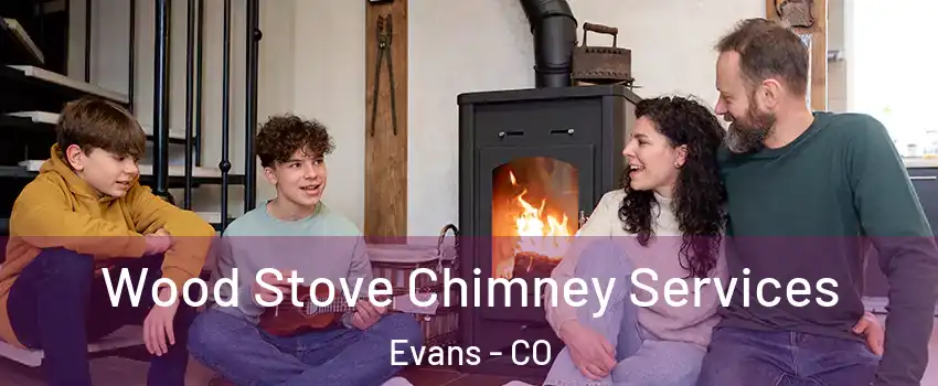  Wood Stove Chimney Services Evans - CO