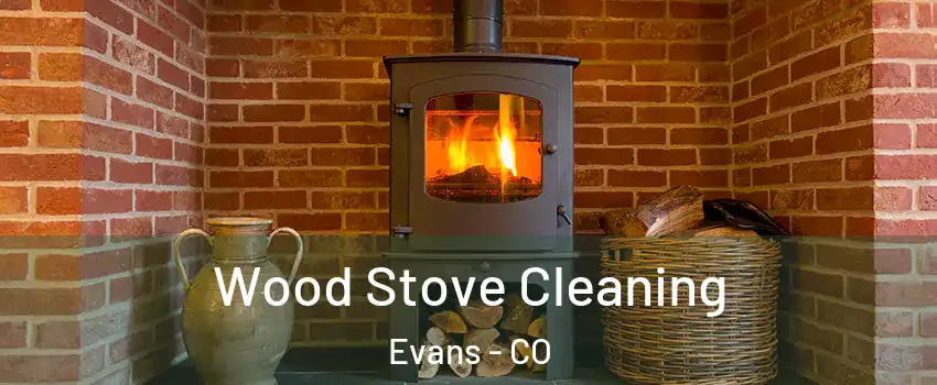  Wood Stove Cleaning Evans - CO
